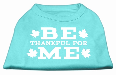 Be Thankful for Me Screen Print Shirt Aqua S